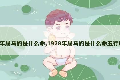 1978年属马的是什么命,1978年属马的是什么命五行属什么