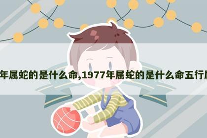 1977年属蛇的是什么命,1977年属蛇的是什么命五行属什么