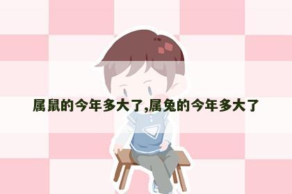 属鼠的今年多大了,属兔的今年多大了