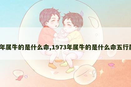 1973年属牛的是什么命,1973年属牛的是什么命五行属什么