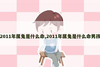 2011年属兔是什么命,2011年属兔是什么命男孩