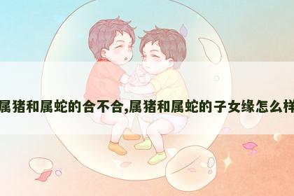 属猪和属蛇的合不合,属猪和属蛇的子女缘怎么样