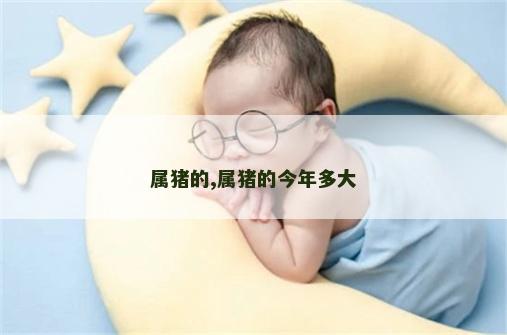 属猪的,属猪的今年多大