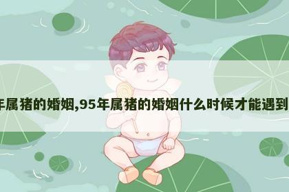 95年属猪的婚姻,95年属猪的婚姻什么时候才能遇到真爱
