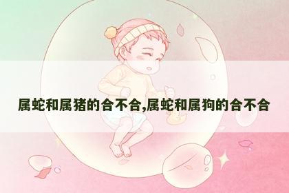 属蛇和属猪的合不合,属蛇和属狗的合不合