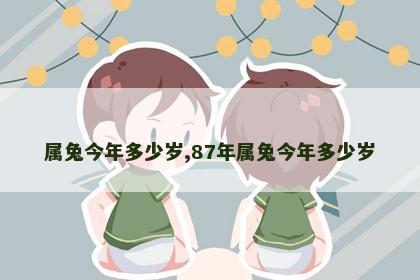属兔今年多少岁,87年属兔今年多少岁