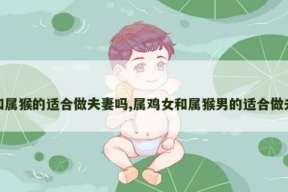 属鸡和属猴的适合做夫妻吗,属鸡女和属猴男的适合做夫妻吗