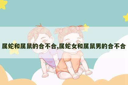 属蛇和属鼠的合不合,属蛇女和属鼠男的合不合
