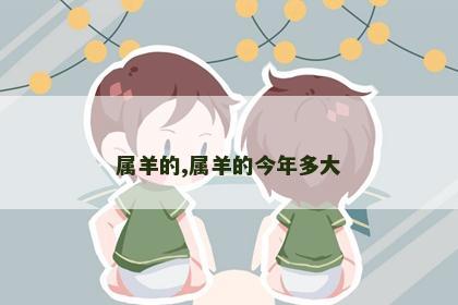 属羊的,属羊的今年多大