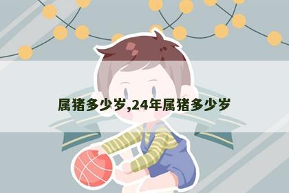 属猪多少岁,24年属猪多少岁