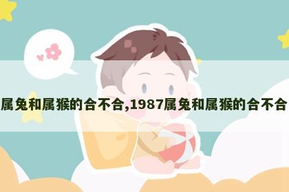 属兔和属猴的合不合,1987属兔和属猴的合不合