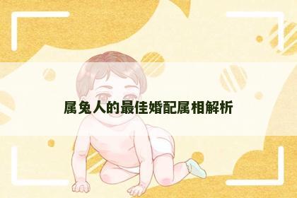 属兔人的最佳婚配属相解析
