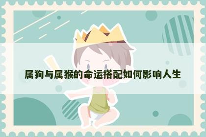 属狗与属猴的命运搭配如何影响人生