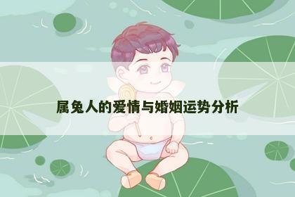 属兔人的爱情与婚姻运势分析