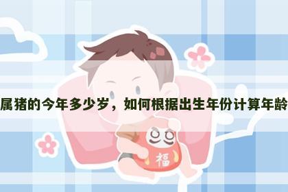 属猪的今年多少岁，如何根据出生年份计算年龄