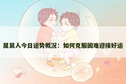 属鼠人今日运势概况：如何克服困难迎接好运