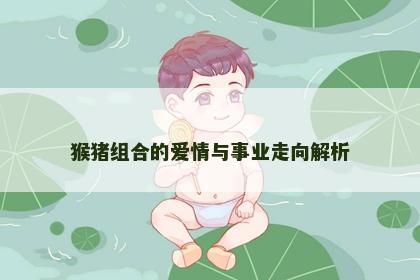 猴猪组合的爱情与事业走向解析
