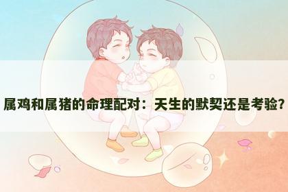 属鸡和属猪的命理配对：天生的默契还是考验？