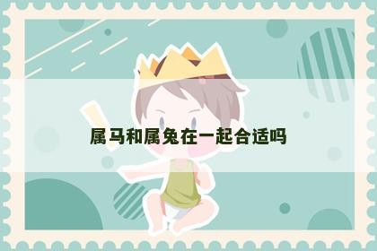 属马和属兔在一起合适吗