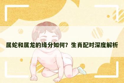属蛇和属龙的缘分如何？生肖配对深度解析