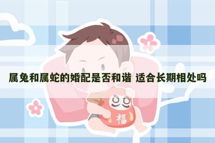 属兔和属蛇的婚配是否和谐 适合长期相处吗