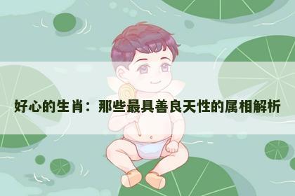 好心的生肖：那些最具善良天性的属相解析