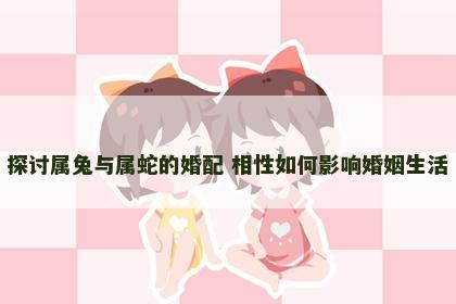 探讨属兔与属蛇的婚配 相性如何影响婚姻生活