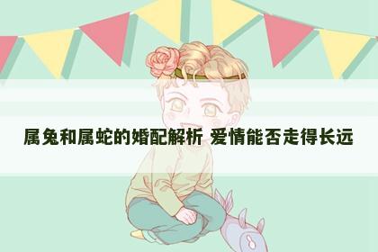 属兔和属蛇的婚配解析 爱情能否走得长远