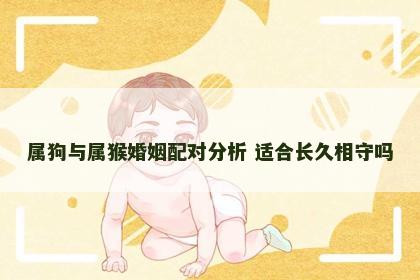 属狗与属猴婚姻配对分析 适合长久相守吗