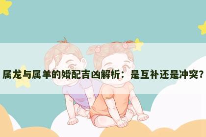 属龙与属羊的婚配吉凶解析：是互补还是冲突？