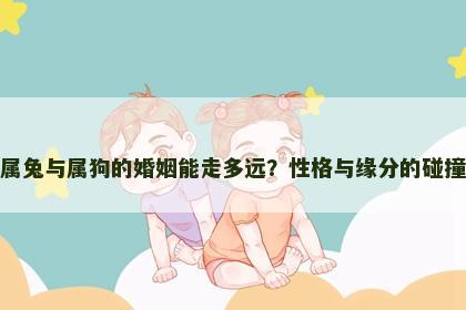 属兔与属狗的婚姻能走多远？性格与缘分的碰撞