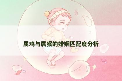 属鸡与属猴的婚姻匹配度分析