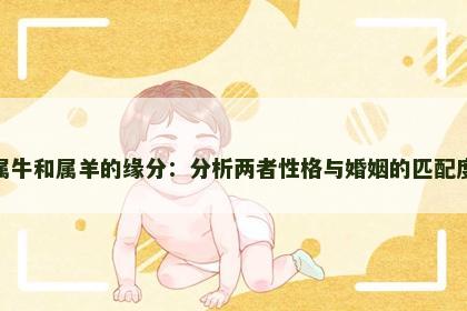 属牛和属羊的缘分：分析两者性格与婚姻的匹配度
