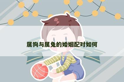 属狗与属兔的婚姻配对如何