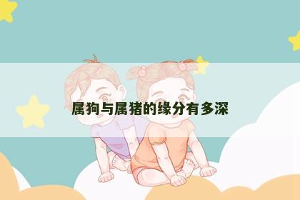 属狗与属猪的缘分有多深