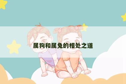 属狗和属兔的相处之道