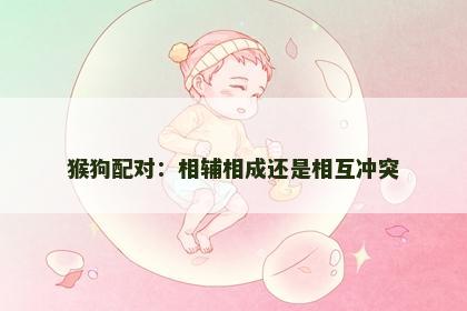 猴狗配对：相辅相成还是相互冲突