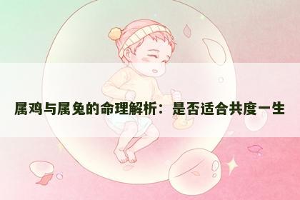 属鸡与属兔的命理解析：是否适合共度一生