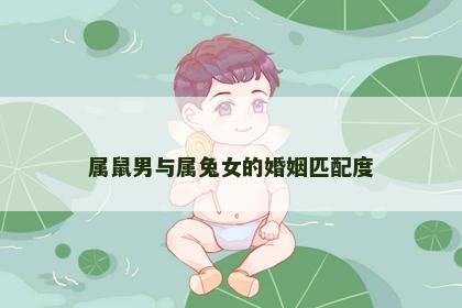 属鼠男与属兔女的婚姻匹配度