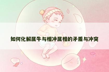 如何化解属牛与相冲属相的矛盾与冲突
