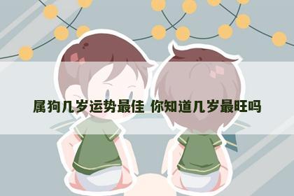 属狗几岁运势最佳 你知道几岁最旺吗