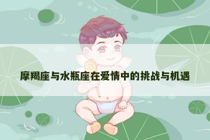 摩羯座与水瓶座在爱情中的挑战与机遇