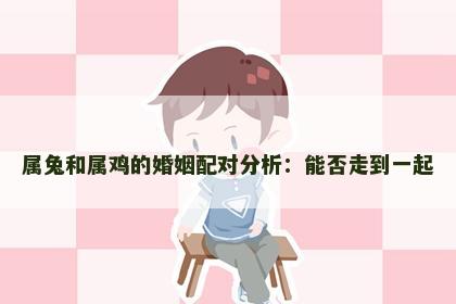 属兔和属鸡的婚姻配对分析：能否走到一起