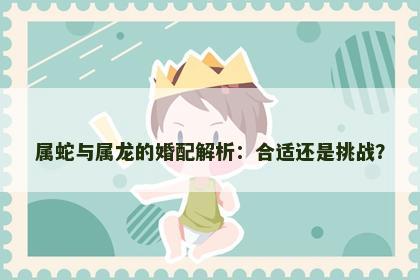 属蛇与属龙的婚配解析：合适还是挑战？