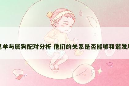 属羊与属狗配对分析 他们的关系是否能够和谐发展