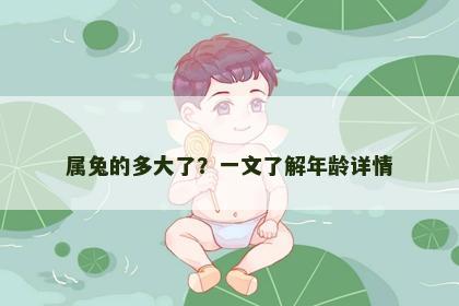 属兔的多大了？一文了解年龄详情
