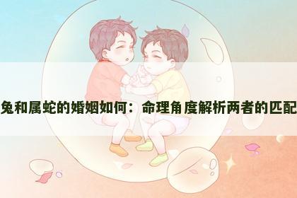 属兔和属蛇的婚姻如何：命理角度解析两者的匹配度