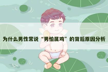 为什么男性常说“男怕属鸡”的背后原因分析