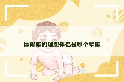 摩羯座的理想伴侣是哪个星座