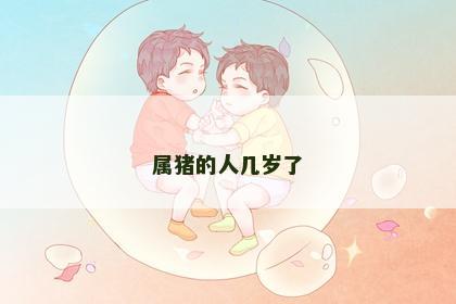 属猪的人几岁了